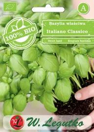 bazylia-wlasciwa-bio-italiano-classico-nasiona-ekologiczne-w-legutko