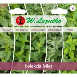 mieta-kolekcja-nasion-tradycyjnych-w-legutko