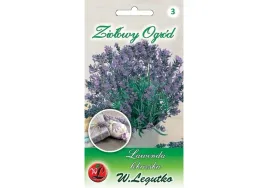 lawenda-lekarska-nasiona-tradycyjne-w-legutko