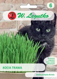 kocia-trawa-nasiona-12g-w-legutko