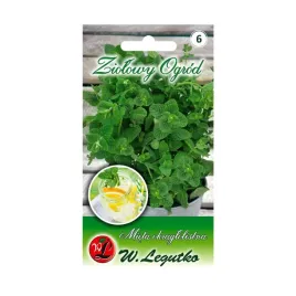 mieta-okraglolistna-nasiona-tradycyjne-w-legutko