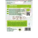 kolendra-siewna-1g-w-legutko-styl-ogrod-japonski-ogrod-nowoczesny-ogrod-skalny-ogrod-srodziemnomorski-ogrod-wiejski