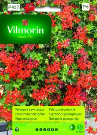 pelargonia-zwisajaca-czerwona-nasiona-vilmorin