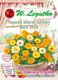 nagietek-lekarski-karlowy-bon-bon-nasiona-tradycyjne-w-legutko