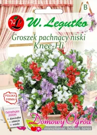 groszek-pachnacy-niski-knee-hi-nasiona-tradycyjne-w-legutko