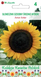 slonecznik-ozdobny-amor-anter-nasiona-tradycyjne-w-legutko