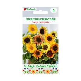 slonecznik-ozdobny-finzja-nasiona-tradycyjne-w-legutko