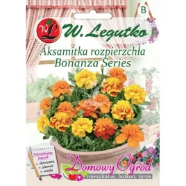 aksamitka-rozpierzchla-bonanza-series-nasiona-tradycyjne-w-legutko