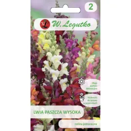 lwia-paszcza-wysoka-mieszanka-nasiona-w-legutko