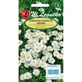 stokrotka-pospolita-biala-nasiona-tradycyjne-w-legutko