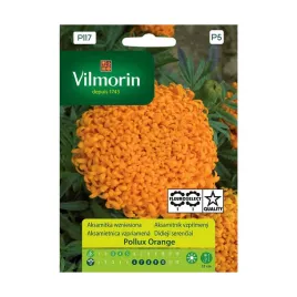 aksamitka-wzniesiona-pollux-orange-nasiona-tradycyjne-vilmorin