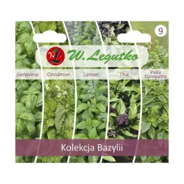 bazylia-kolekcja-nasiona-tradycyjne-w-legutko