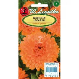 nagietek-lekarski-pomaranczowy-nasiona-tradycyjne-w-legutko