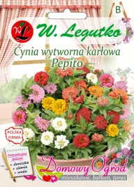 cynia-wytworna-karlowa-pepito-nasiona-tradycyjne-w-legutko