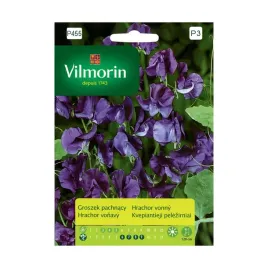 groszek-pachnacy-niebieski-nasiona-tradycyjne-vilmorin