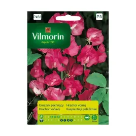 groszek-pachnacy-rozowy-nasiona-tradycyjne-vilmorin