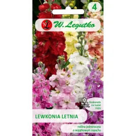 lewkonia-letnia-nasiona-tradycyjne-w-legutko