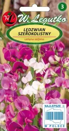 ledzwian-szerokolistny-nasiona-tradycyjne-w-legutko