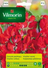groszek-pachnacy-czerwony-nasiona-tradycyjne-vilmorin