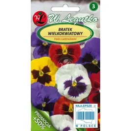 bratek-wielkokwiatowy-mieszanka-nasiona-kwiatow-w-legutko