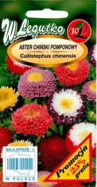 aster-chinski-pomponowy-mix-nasiona-tradycyjne-w-legutko
