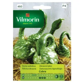 dynia-ozdobna-cobra-nasiona-vilmorin