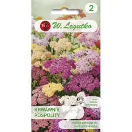 krwawnik-pospolity-achillea-millefolium-mieszanka-nasiona-kwiatow-w-legutko