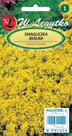smagliczka-skalna-alyssum-saxatile-nasiona-kwiatow-w-legutko
