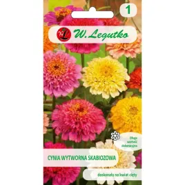 cynia-wytworna-skabiozowa-nasiona-tradycyjne-w-legutko