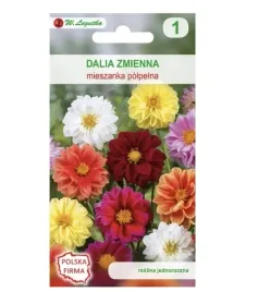 dalia-zmienna-karlowa-polpelna-nasiona-tradycyjne-w-legutko