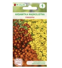 aksamitka-waskolistna-mix-nasiona-tradycyjne-w-legutko