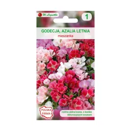 godecja-azalia-letnia-clarkia-elegans-mieszanka-nasiona-kwiatow-w-legutko