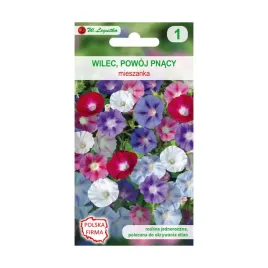 wilec-powoj-pnacy-nasiona-tradycyjne-w-legutko