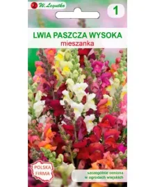 lwia-paszcza-wysoka-mieszanka-nasiona-w-legutko