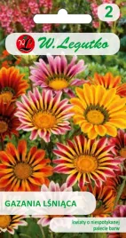gazania-lsniaca-mieszanka-nasiona-tradycyjne-w-legutko