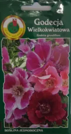 godecja-wielkokwiatowa-mieszana-nasiona-1-g-pnos