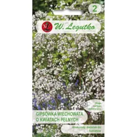 gipsowka-wiechowata-biala-nasiona-tradycyjne-w-legutko