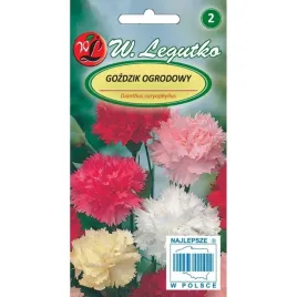 gozdzik-ogrodowy-mieszanka-nasiona-tradycyjne-w-legutko
