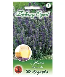hyzop-lekarski-nasiona-tradycyjne-w-legutko