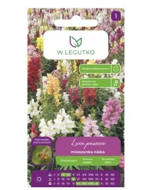 lwia-paszcza-niska-mieszanka-nasiona-w-legutko