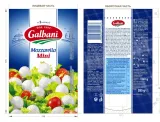 mozarella-galbani-031-kg-mini-rodzaj-bialy-i-twarogowy