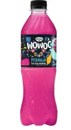 hortex-napoj-owocowy-pitaja-and-liczi-and-mieta-12-x-500-ml