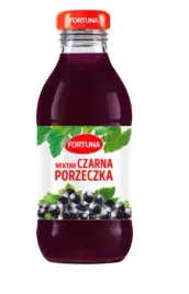 fortuna-nektar-czarna-porzeczka-15-x-300-ml-butelka-szklana