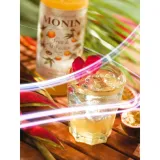 syrop-monin-700-ml-marakuja-kod-producenta-908059