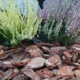 kora-sosnowa-80l-sobex-pojemnosc-1-l