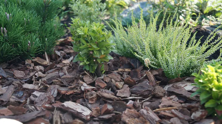 kora-sosnowa-80l-sobex-marka-sobex