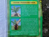 podloze-do-roslin-pokojowych-20l-compo-kod-producenta-4008398222529