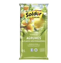 terreau-agrumes-et-plantes-mediterraneenes-soldor