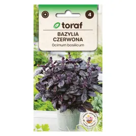bazylia-czerwona-05g