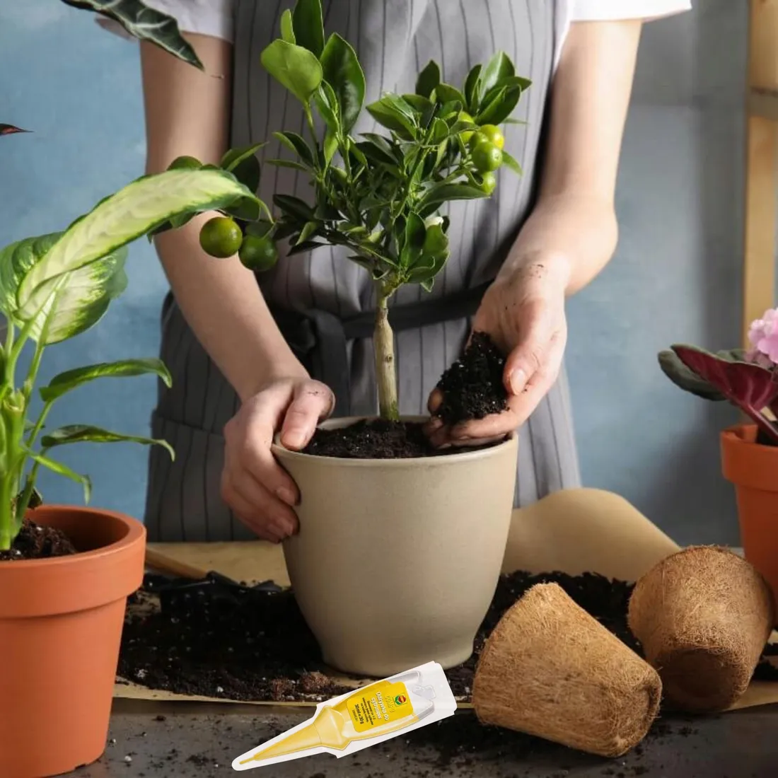 nawoz-do-cytrusow-30ml-compo